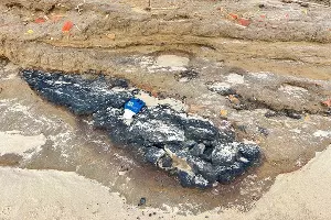  &copy;&nbsp;Скриншот фото из телеграм-канала штаба &laquo;Дельфины&raquo;