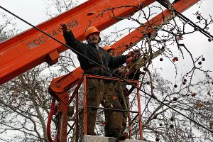 Ликвидация последствий ледяного дождя в Краснодаре &copy;&nbsp;Влад Александров, ЮГА.ру