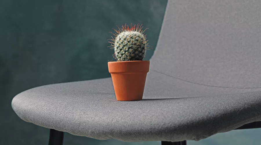  &copy;&nbsp;Фото Atlascompany, freepik.com