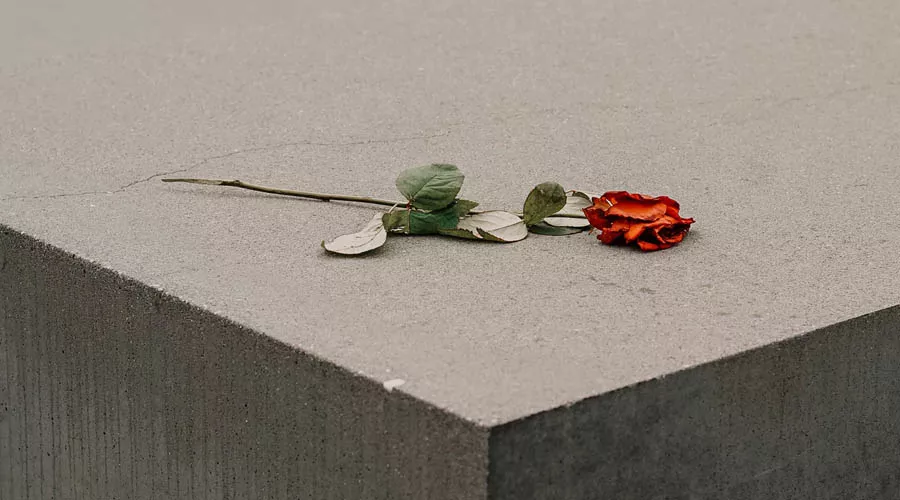  &copy;&nbsp;Фото с сайта unsplash.com