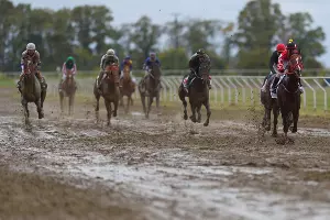  &copy;&nbsp;Фото пресс-службы главы Адыгеи