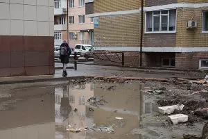  &copy;&nbsp;Фото Елены Синеок, Юга.ру