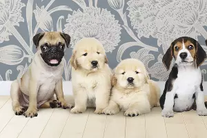  &copy;&nbsp;Фото rawpixel.com, сайт freepik.com