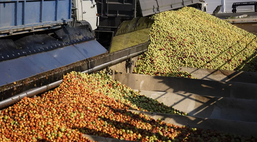  &copy;&nbsp;Фото торговой сети &laquo;Пятёрочка&raquo;