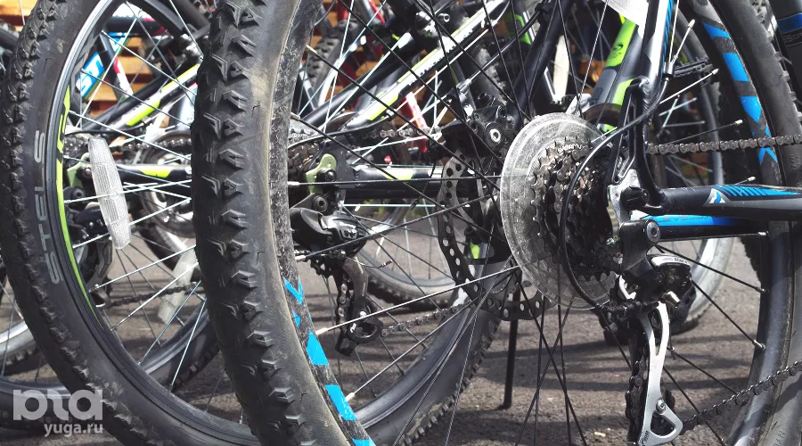  &copy;&nbsp;Фото Дмитрия Леснова, Юга.ру