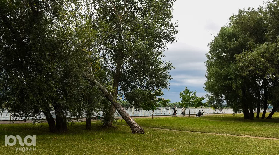 Рождественский парк &copy;&nbsp;Фото Елены Синеок, Юга.ру