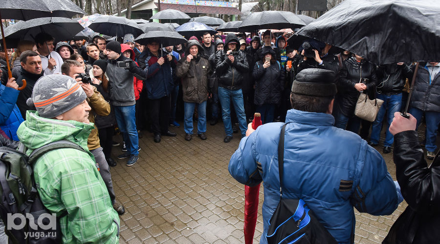  © Фото Елены Синеок, Юга.ру