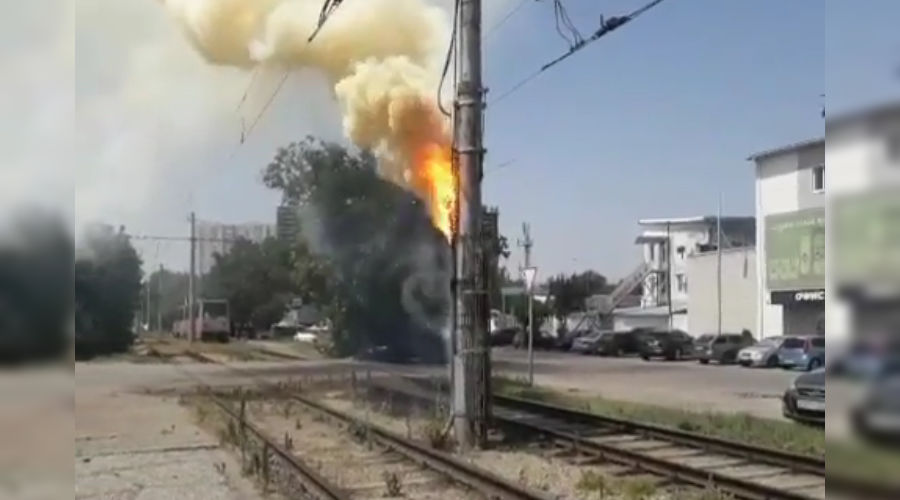  © Скриншот видео из инстаграма pharmacy_street_light, instagram.com/pharmacy_street_light