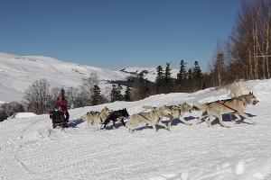  © Фото пресс-службы Кавказского заповедника