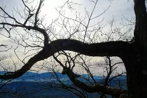 Сарай-гора &copy;&nbsp;Фото Александры Осиповой, instagram.com/myphotolifesasha