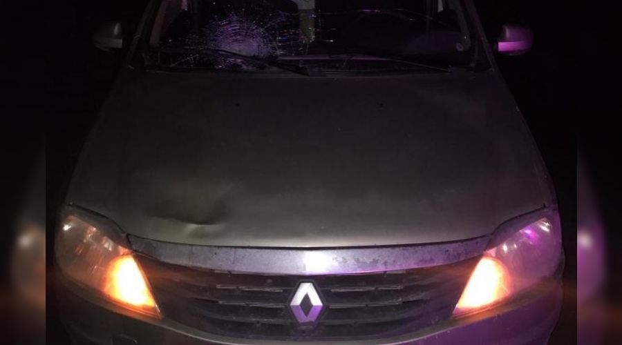  &copy;&nbsp;Фото отдела пропаганды БДД УГИБДД ГУ МВД России по Краснодарскому краю