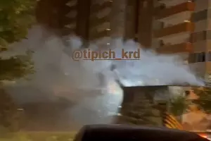  &copy;&nbsp;Скриношот видео из телеграм-канала &laquo;Типичный Краснодар&raquo;, t.me/krd_tipich_ru
