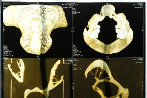 "Музей снежного человека" в Адыгее &copy;&nbsp;Влад Александров, ЮГА.ру