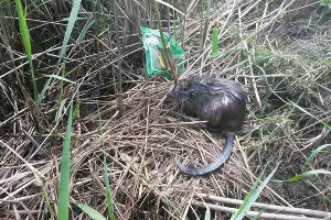  &copy;&nbsp;Фото из группы &laquo;Краснодарский край&raquo; &laquo;ВКонтакте&raquo;, vk.com/krdregion