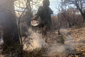 Пожар в заповеднике «Утриш» &copy;&nbsp;Фото Марии Сотсковой
