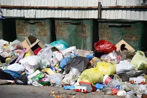 Проблемы с вывозом мусора в Краснодаре &copy;&nbsp;Фото Елены Синеок, Юга.ру