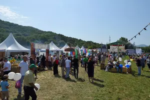  &copy;&nbsp;Фото Алексея Гусева