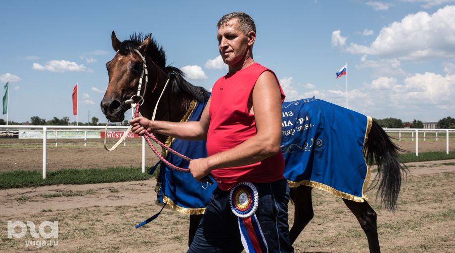  © Фото Алины Десятниченко, Юга.ру