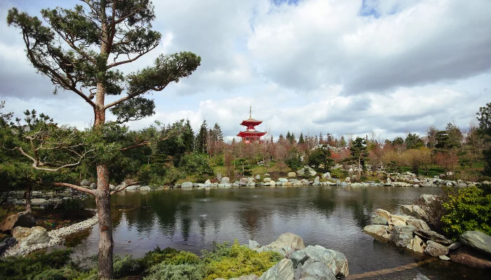 Японский сад &copy;&nbsp;Фото Антона Быкова, Юга.ру