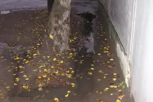 Улица Жлобы &copy;&nbsp;Фото Дмитрия Воронова, &laquo;Городские решения&raquo;