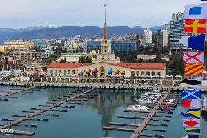  &copy;&nbsp;Фото Елены Синеок, Юга.ру