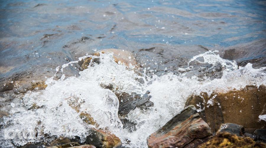  &copy;&nbsp;Фото Елены Синеок, Юга.ру