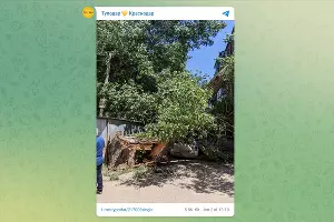  &copy;&nbsp;Скриншот из телеграм-канала &laquo;Туподар Краснодар&raquo;, t.me/typodar