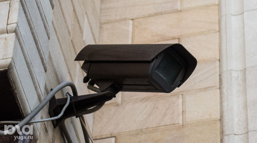 DSC_7405 © Фото Елены Синеок, Юга.ру