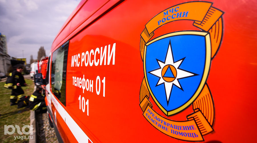  © Фото Елены Синеок, Юга.ру