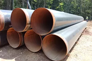  &copy;&nbsp;Фото Елены Малышевой, Юга.ру