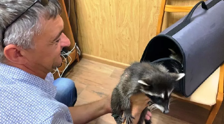  &copy;&nbsp;Фото пресс-службы администрации Анапы