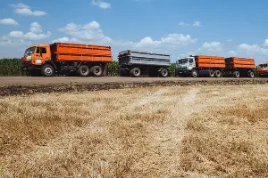  &copy;&nbsp;Фото Амины Ибрагимовой, Юга.ру