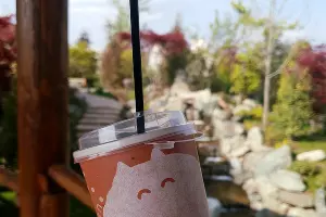 Кофейня Kissaten &copy;&nbsp;Фото Марины Солошко, Юга.ру