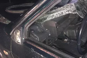  &copy;&nbsp;Фото пресс-службы СУ СКР по Краснодарскому краю