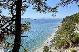  &copy;&nbsp;Фото предоставлено пресс-службой Геленджика