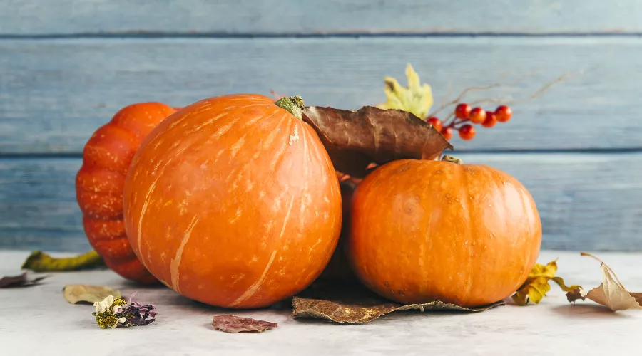  &copy;&nbsp;Фото freepik, сайт freepik.com