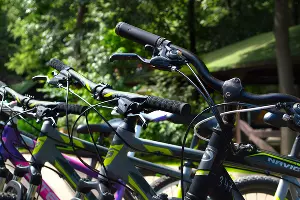  &copy;&nbsp;Фото Дмитрия Леснова, Юга.ру