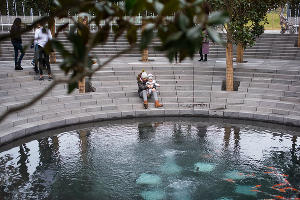 Парк «Краснодар» &copy;&nbsp;Фото Елены Синеок, Юга.ру