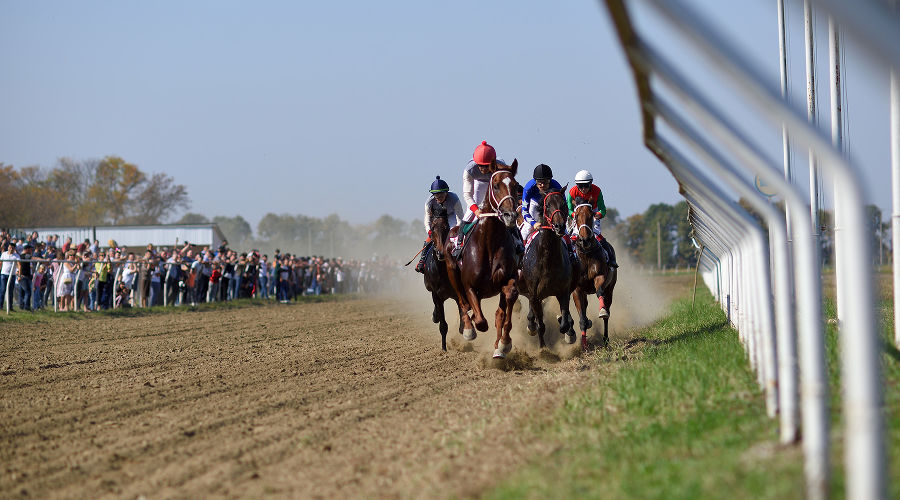  © Фото пресс-службы администрации Адыгеи