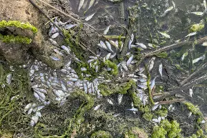  &copy;&nbsp;Фото предоставлено Иваном Любивым