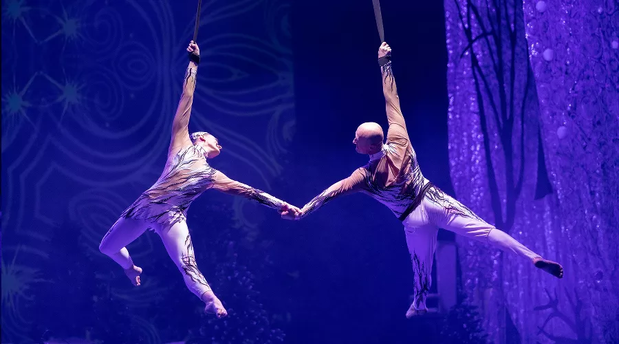 Новогодний вечер во Дворце искусств «Премьера» &copy;&nbsp;Фото Алексея Петрова