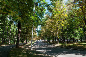 Асфальтированная дорога проходит через парк © Фото Дмитрия Пославского, Юга.ру