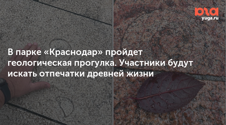 В парке «Краснодар» пройдет геологическая прогулка. Участники будут искать отпечатки древней жизни