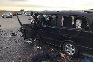  &copy;&nbsp;Фото пресс-службы СУ СК РФ по Ставропольскому краю