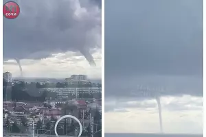  &copy;&nbsp;Скриншот из телеграм-канала &laquo;ЧП Сочи&raquo; https://t.me/chp_sochi/30369