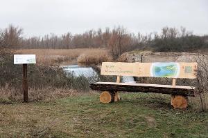 Экотропа «По Дону гуляют» в заказнике «Горненский»  © Фото Евгения Чистякова