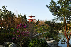 Японский сад в парке «Краснодар» весной © Фото Марины Солошко, Юга.ру