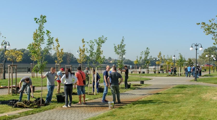  © Фото пресс-службы администрации Краснодара