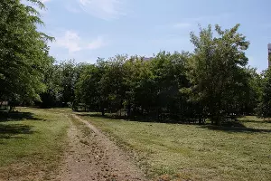  &copy;&nbsp;Фото пресс-службы администрации Краснодара