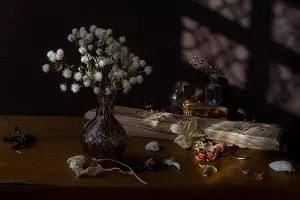  &copy;&nbsp;Фото предоставлено пресс-службой художественного музея имени Ф.А. Коваленко